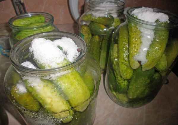 Что делать если появился белый налёт на огурцах в банке?