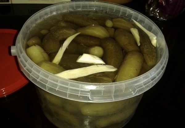 Как засолить огурцы в ведре холодным способом