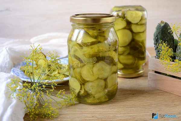 Как заготовить огурцы на зиму кружочками