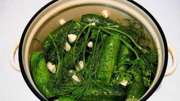 Как приготовить малосольные огурцы в кастрюле