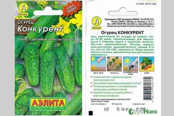 Огурцы Конкурент: описание и особенности сорта