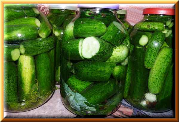 Как засолить крупные огурцы