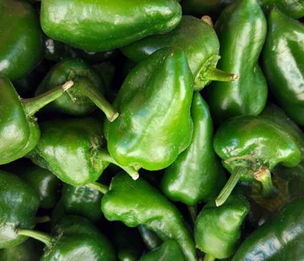 Лучшие рецепты таркинского перца