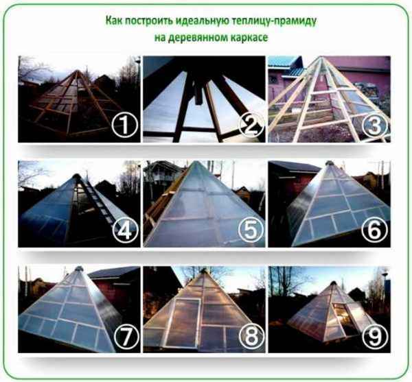 Особенности теплицы «Пирамида» и как её сделать в домашних условиях