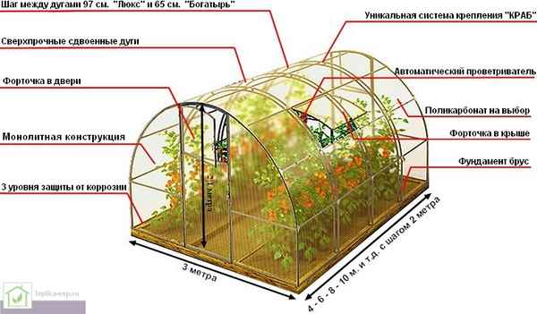 Хаpaктеристика и особенности теплицы «Кремлёвская сказка»