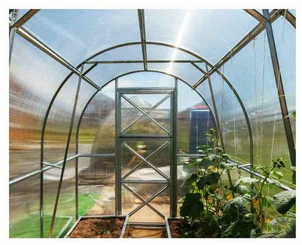 Особенности теплицы «Дачная двушка» и как её сделать в домашних условиях