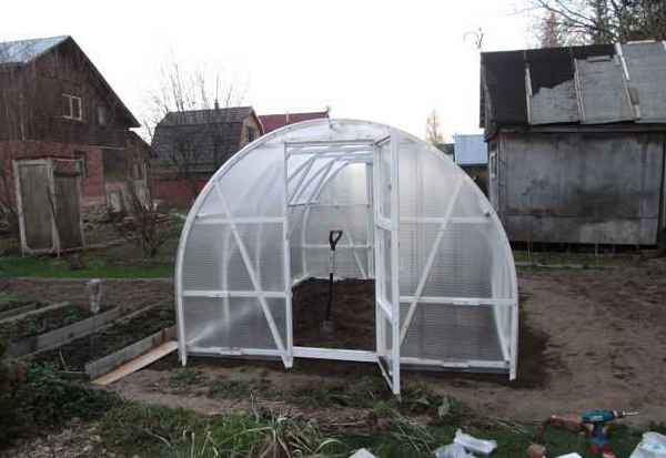 Как выбрать лучшую теплицу «Синьор Помидор»?