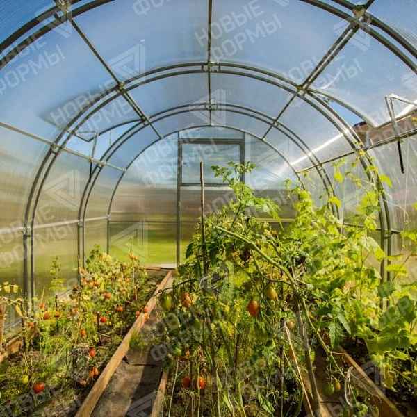 Особенности «Кремлевских» теплиц из поликарбоната