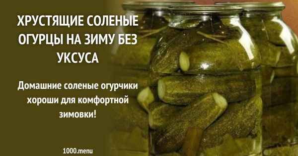 Как приготовить на зиму солёные огурцы без уксуса
