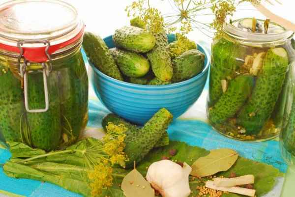 Лучшие рецепты засолки огурцов в кастрюле на зиму