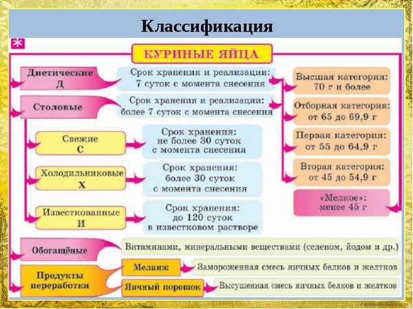 Категории куриных яиц: их классификация и хаpaктеристика