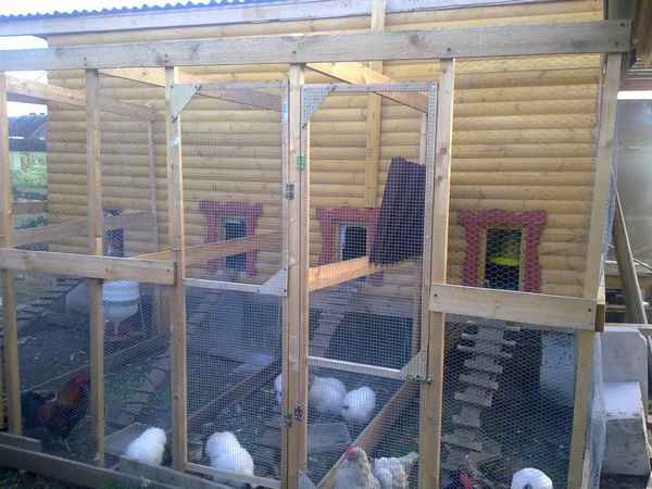 Как построить курятник на 50 кур