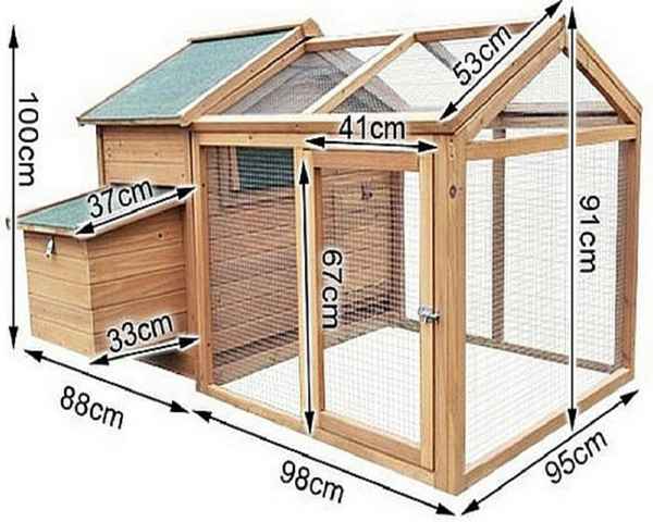 Как построить курятник на 20 кур своими руками