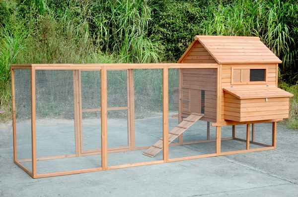 Как сделать мини-курятник своими руками