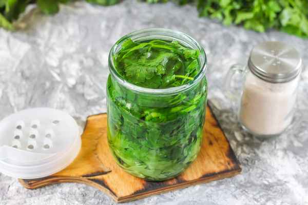 Листовой сельдерей: рецепты приготовления на зиму