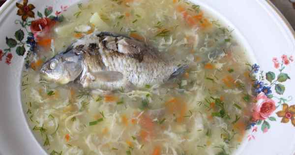 Как варить уху из карася, пошаговые рецепты
