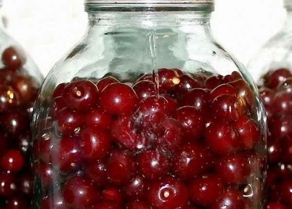 Как сделать настойку из вишни на самогоне