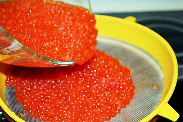 Засолка икры горбуши в домашних условиях