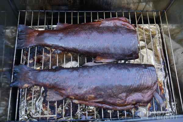 Как закоптить горбушу горячего копчения в коптильне