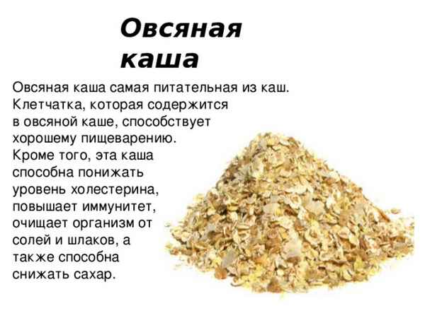 Сколько времени требуется для переваривания овсяной каши