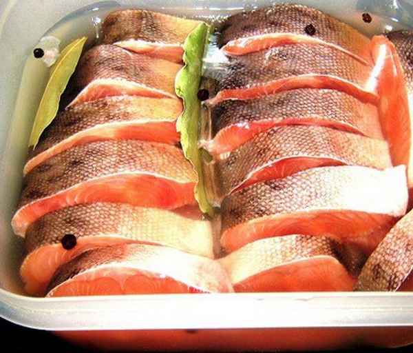 Как правильно посолить горбушу целиком