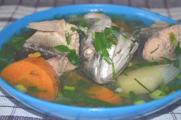 Как сварить уху из головы и хвоста горбуши