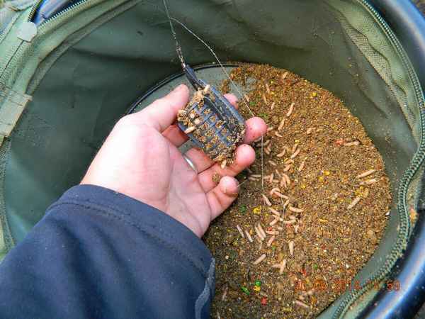 Прикормки для ловли карася на фидер