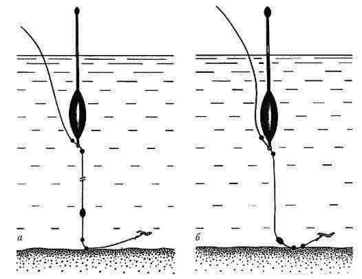 Как ловить леща на поплавочную удочку