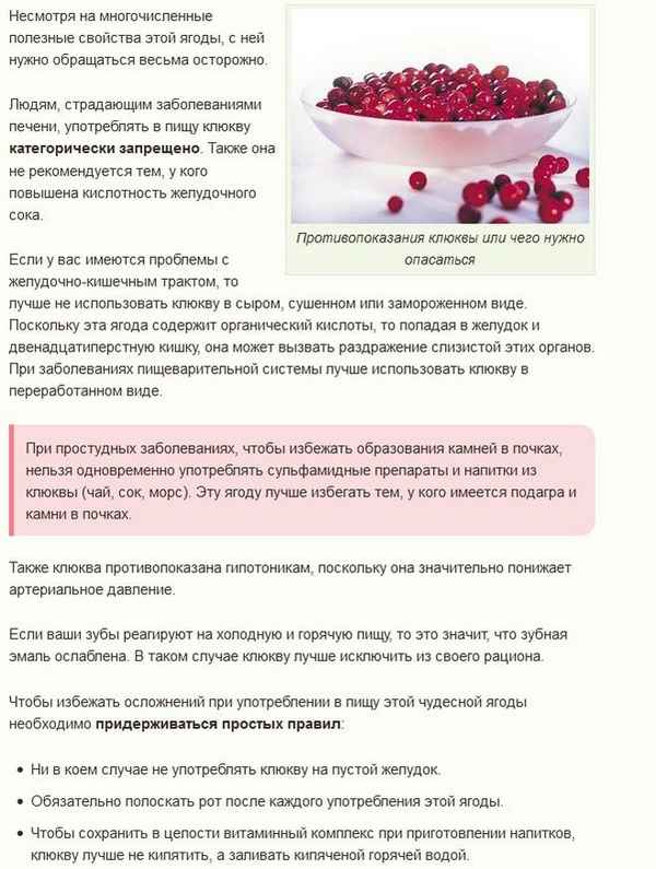 Как и сколько хранится сырая клюква: способы и рецепты