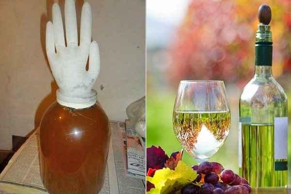 Домашнее вино из листьев винограда