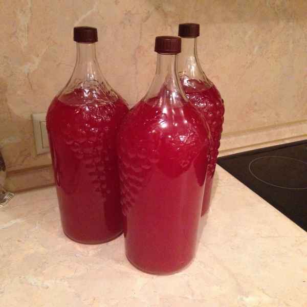 Как приготовить малиновое вино в домашних условиях