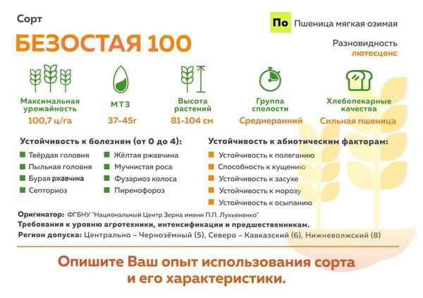 Описание и хаpaктеристики сорта озимой пшеницы Безостая 100