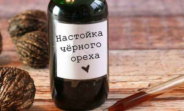 Как приготовить настойку из чёрного ореха и как её употрeбллять