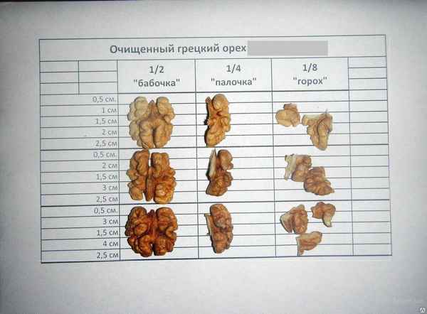 Сколько весит 1 очищенный фундук в граммах