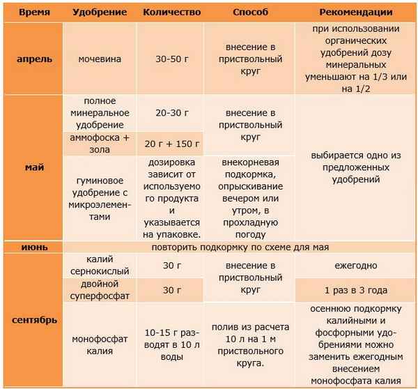 Правила и особенности подкормки слив