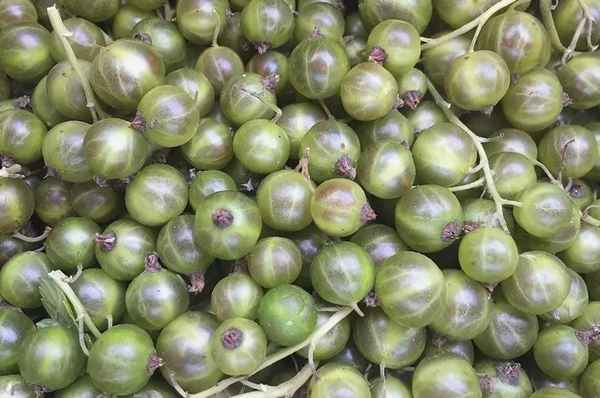 Смородина с зелёными ягодами Изумрудная (Изумрудное ожерелье): хаpaктеристики