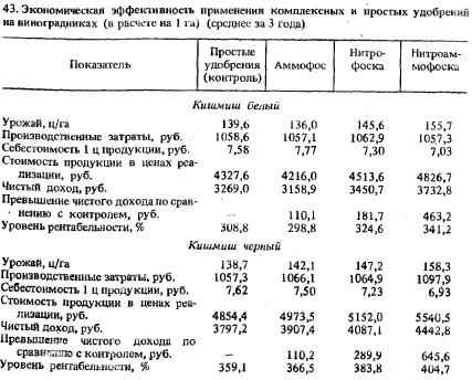 Правила удобрения винограда нитроаммофоской