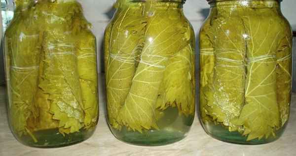 Как заготовить листья винограда для долмы?