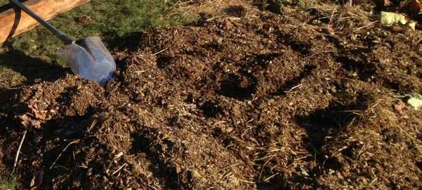 Как улучшить плодородность почвы без перегноя и навоза?