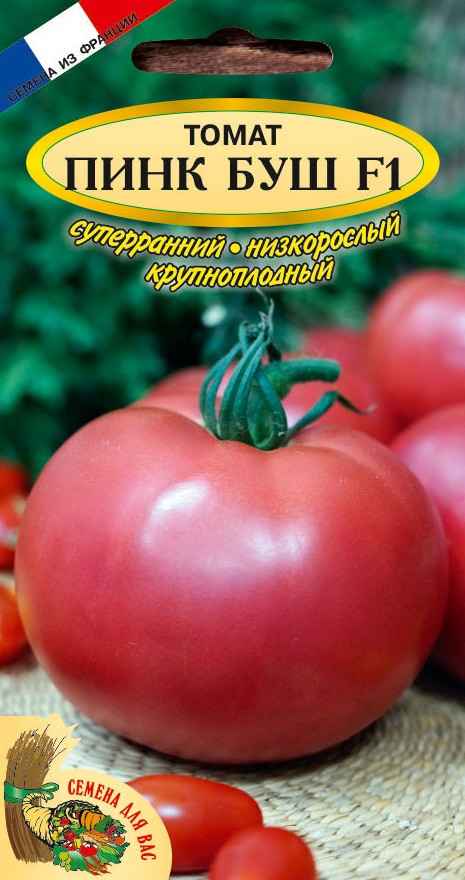 Помидоры «Пинк Буш»: описание, агротехника выращивания