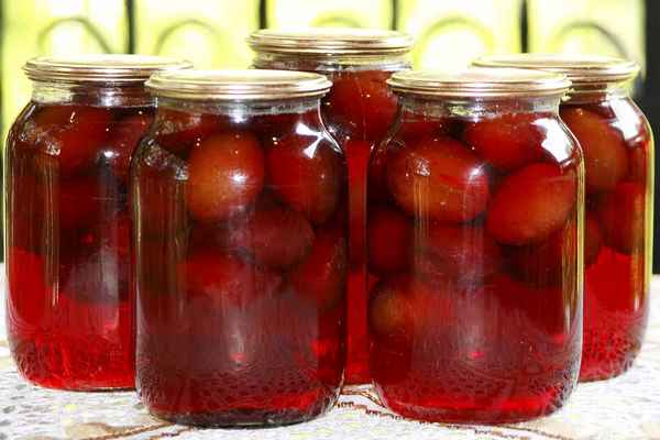 Рецепты заготовок сливового компота на зиму