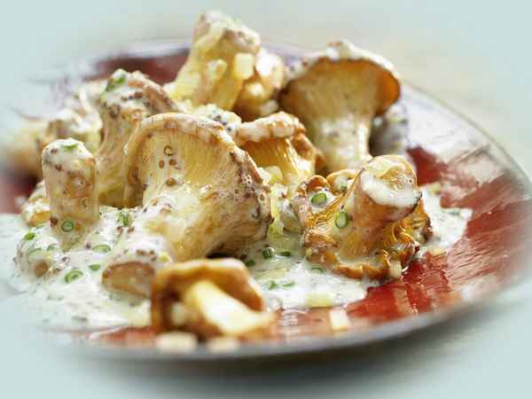 Лисички в сметане, рецепты