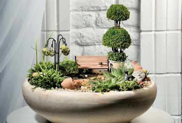Это то, что украсит ваш дом в любое время года: сад в плошке — что это и как сделать своими руками