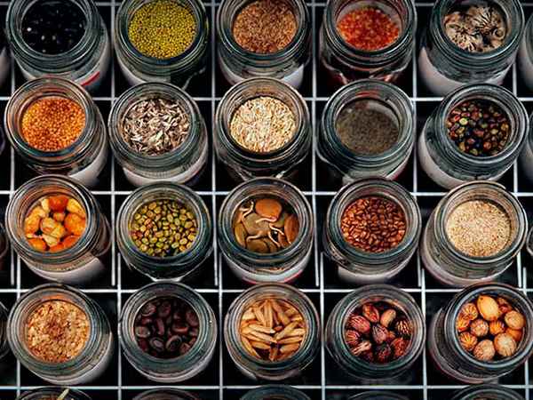 В чем хранить семена: 5 простых и удобных способов хранения