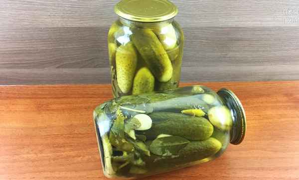 Как засолить огурцы на зиму без стерилизации