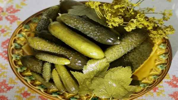 Лучшие рецепты квашеных огурцов холодным способом