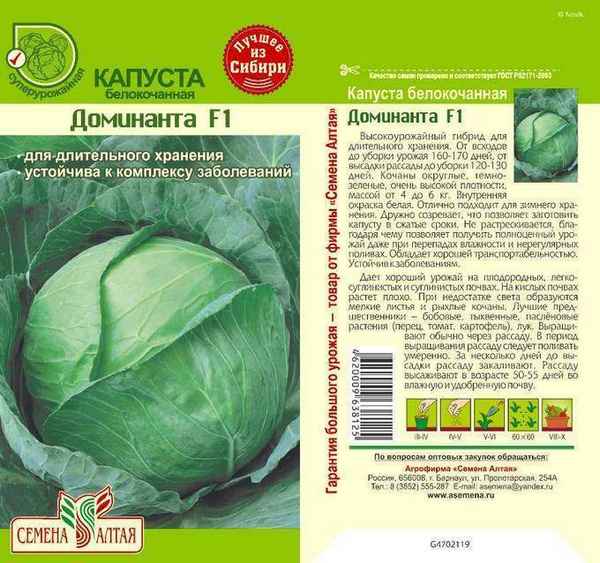 Капуста сорта Доминанта: описание, агротехника выращивания и уход