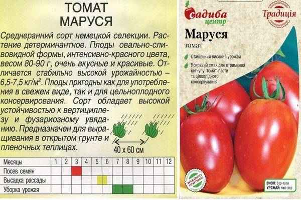 Помидоры Маруся: описание, агротехника выращивания