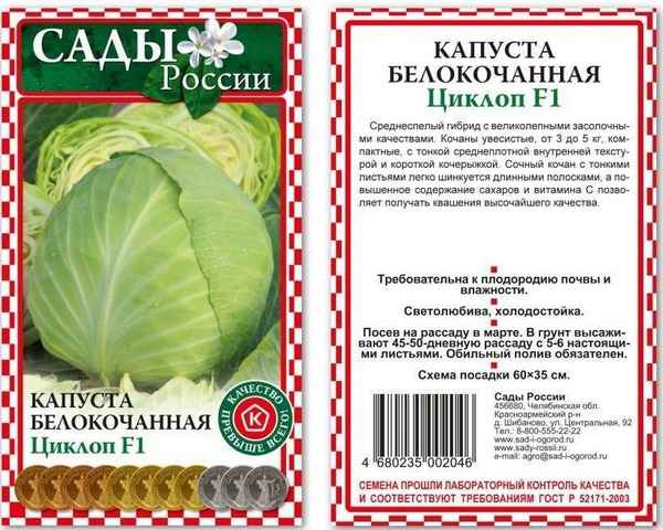 Капуста Циклоп: хаpaктеристика сорта, выращивание и уход