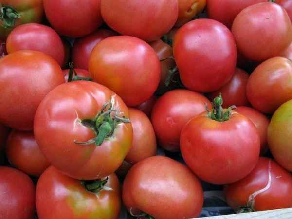 Томат Розовые щёчки F1: описание сорта, особенности выращивания и ухода